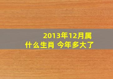 2013年12月属什么生肖 今年多大了